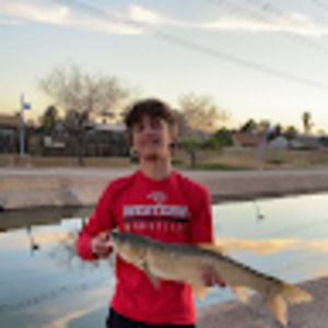 Meet your Posher, Tyler